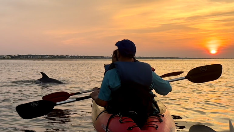 Kayaking and dolphin watching in Virginia Beach